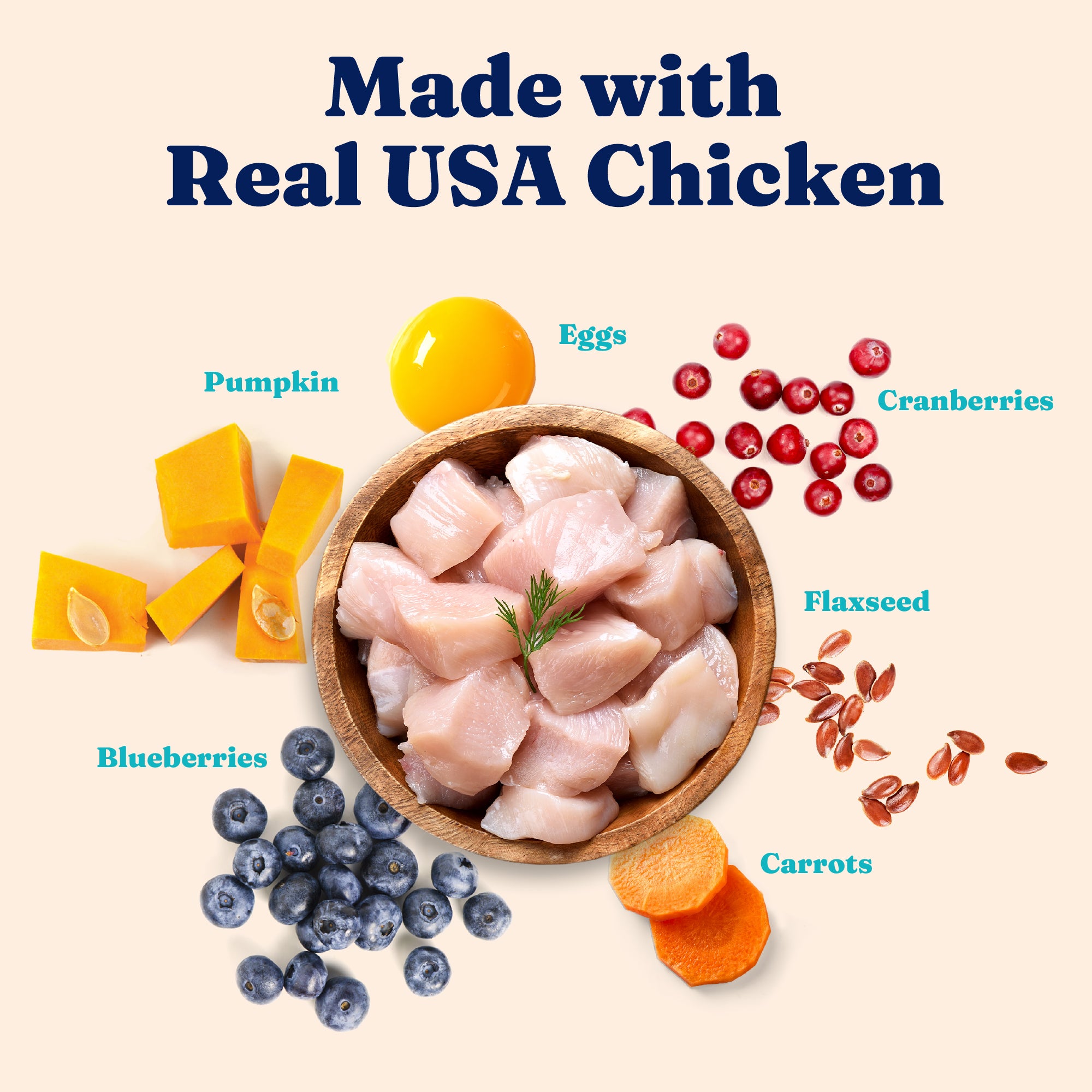 Bowl of raw chicken pieces surrounded by pumpkin, eggs, cranberries, blueberries, flaxseed, and carrots.