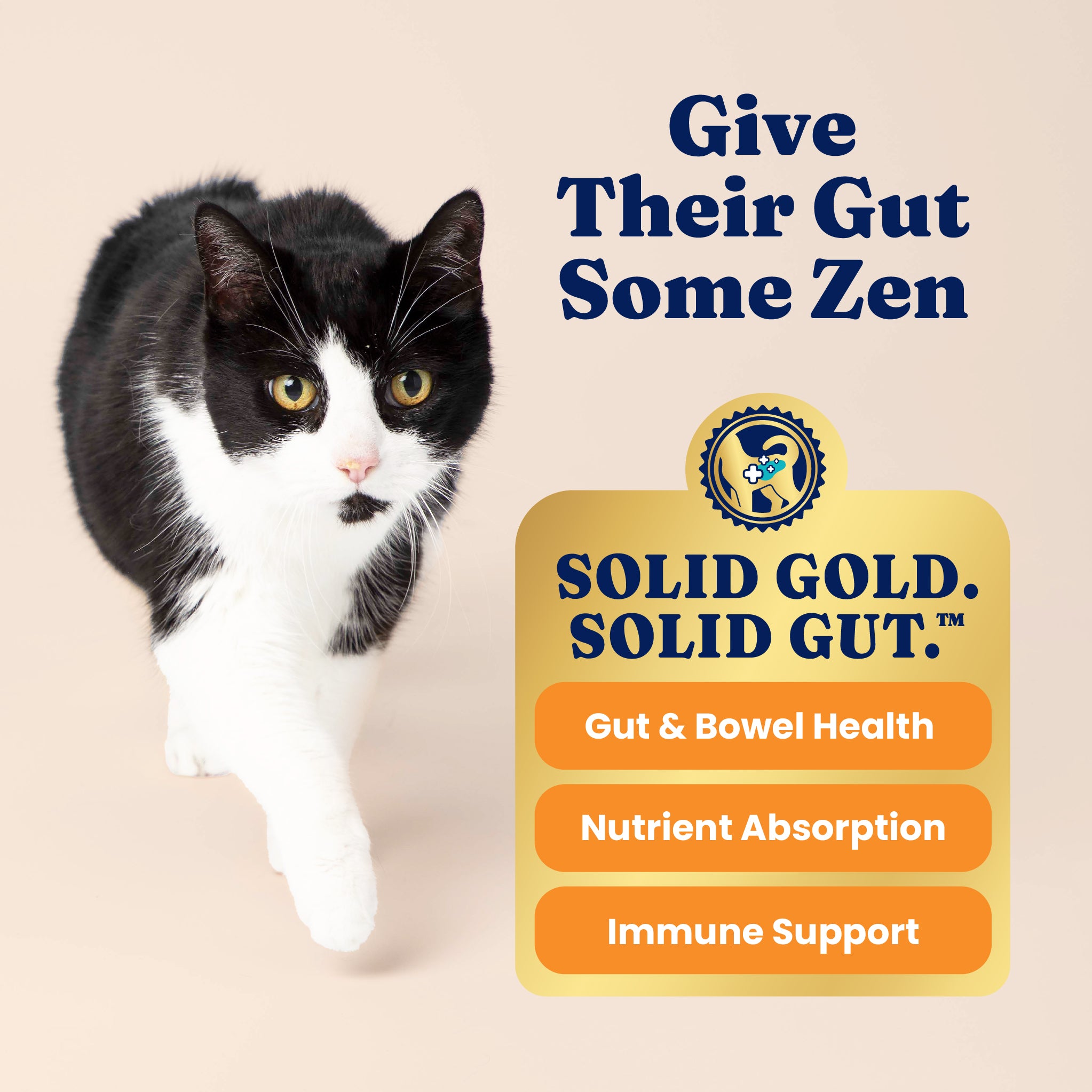 Black and white cat walking on a light background with text highlighting gut health and nutrient absorption benefits.