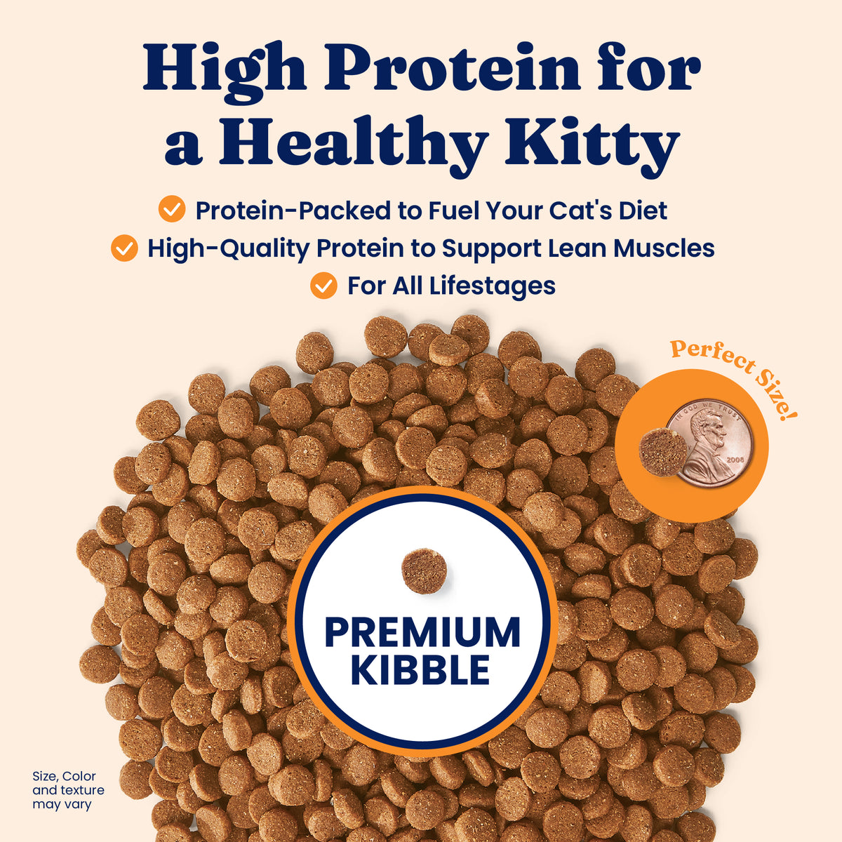 Brown dry cat food kibble scattered on a light background, with a penny for size reference.