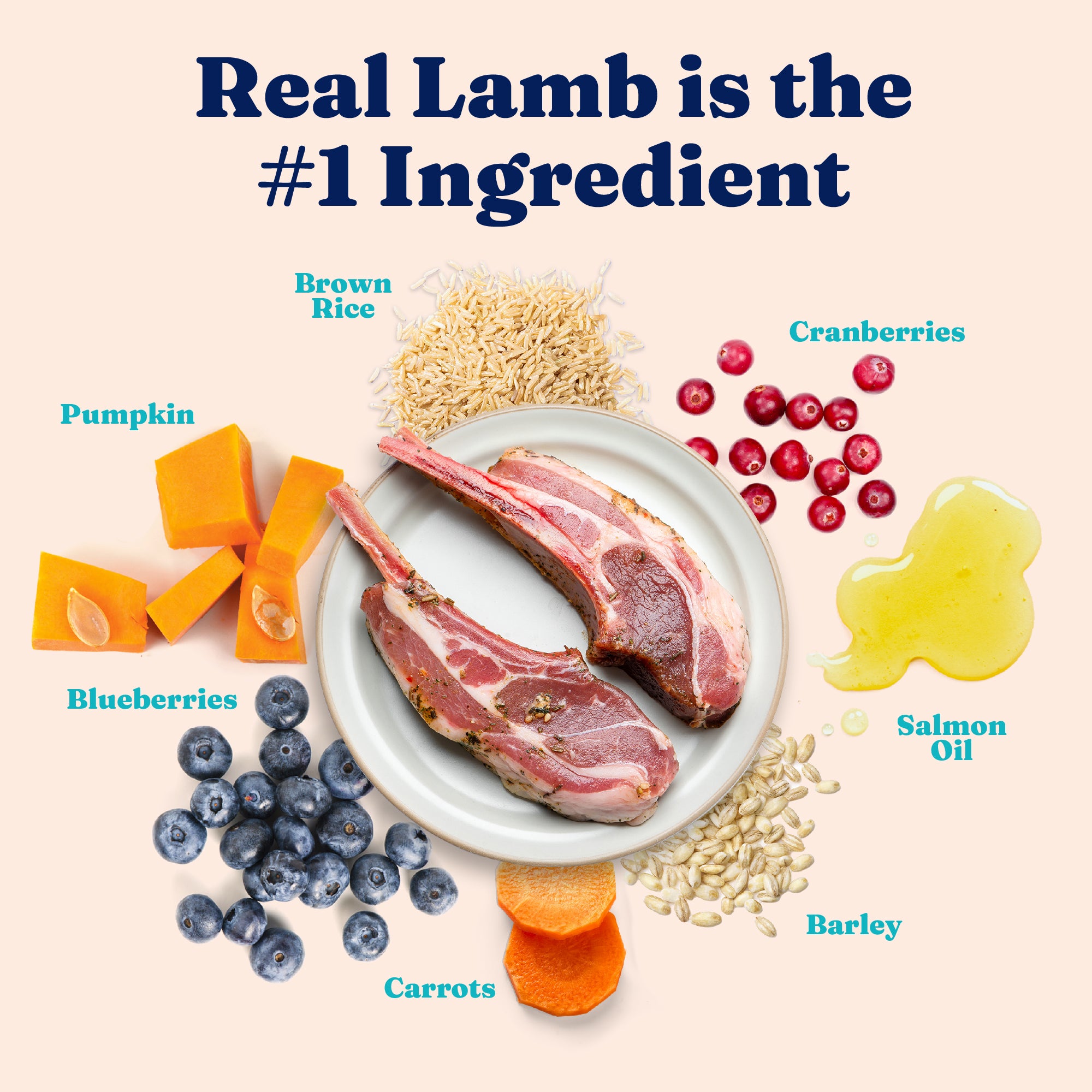 Lamb chops on a plate surrounded by ingredients: brown rice, pumpkin, blueberries, cranberries, barley, carrots, and salmon o