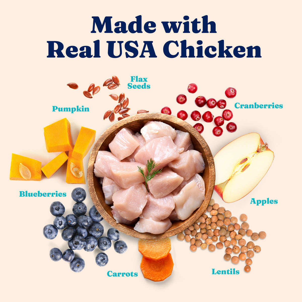 Bowl of raw chicken pieces surrounded by pumpkin, blueberries, carrots, apples, lentils, cranberries, and flax seeds.