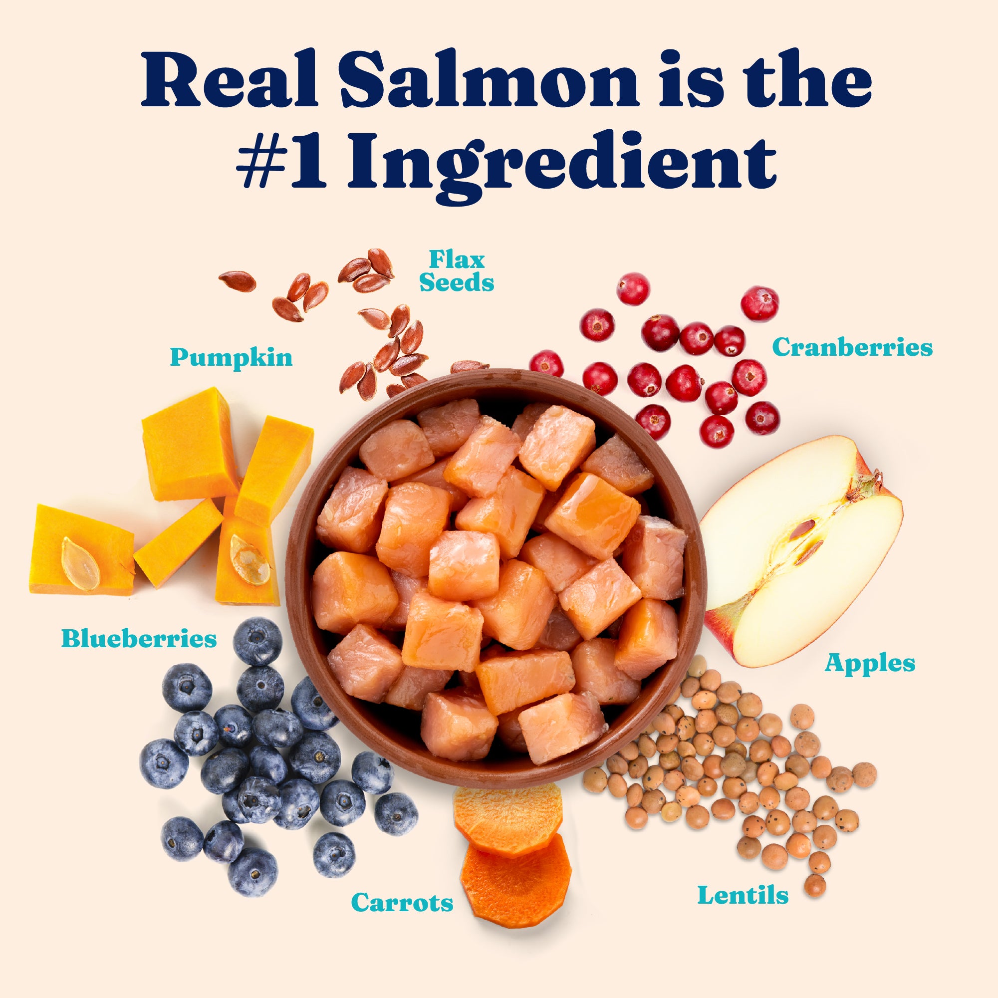 Bowl of salmon cubes surrounded by pumpkin, blueberries, carrots, lentils, cranberries, flax seeds, and apple slices.