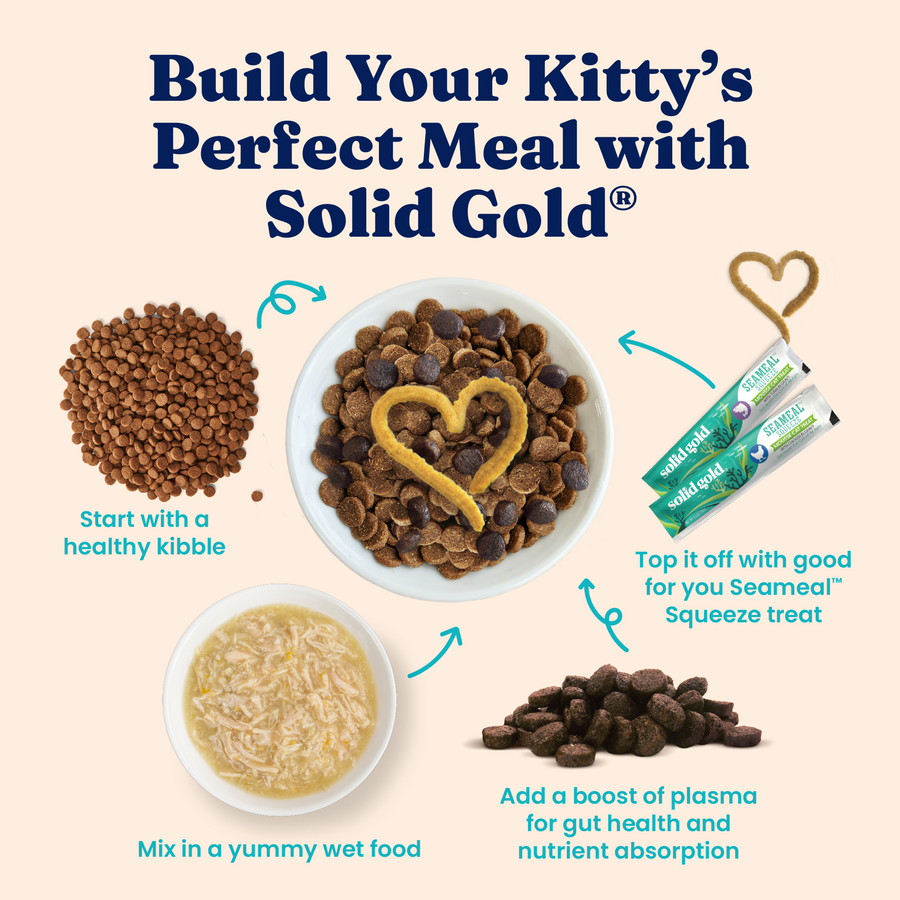 Bowl with kibble, wet food, and squeeze treat, illustrating meal preparation for cats.