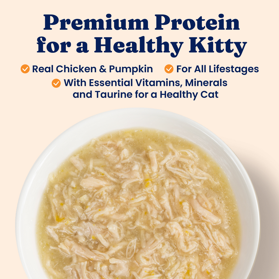 Wet cat food in a white bowl featuring shredded chicken and pumpkin in a broth.
