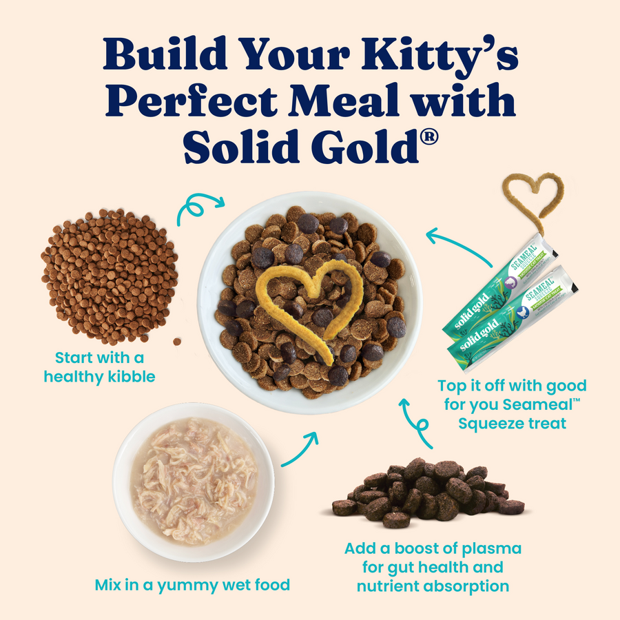 Bowl with dry cat kibble, wet food, and squeeze treat, with arrows indicating meal preparation steps.