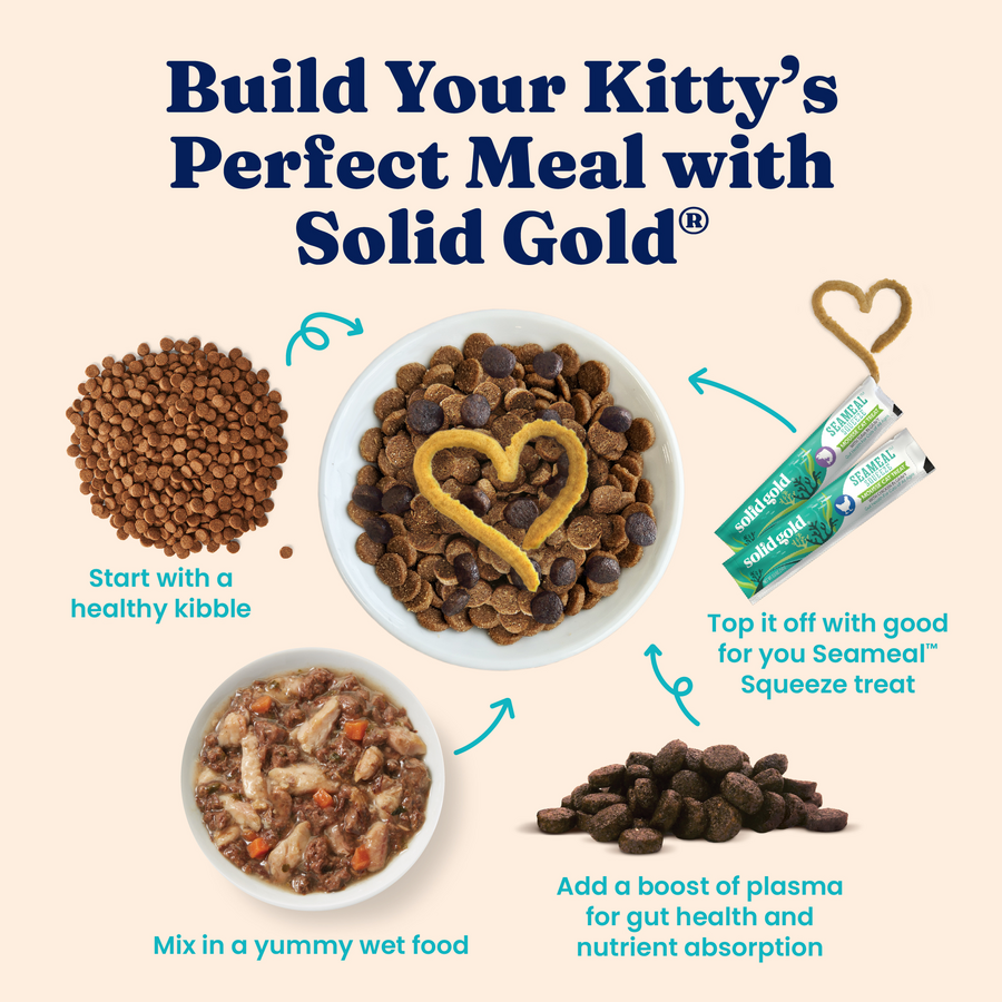 Bowl of dry cat kibble with a heart shape, wet food, and squeeze treat, illustrating meal preparation steps for cats.