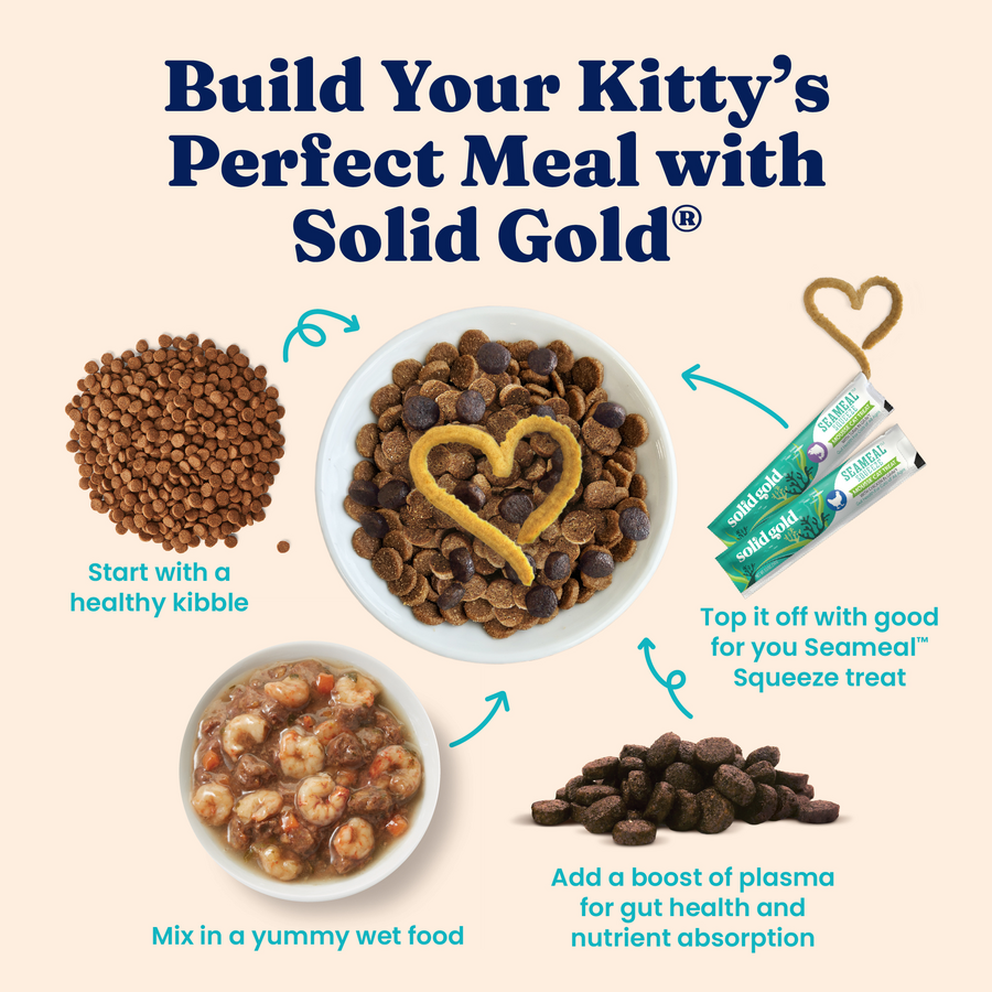 Bowl of dry cat kibble, wet food with shrimp, and squeeze treat packaging arranged in a meal preparation layout.