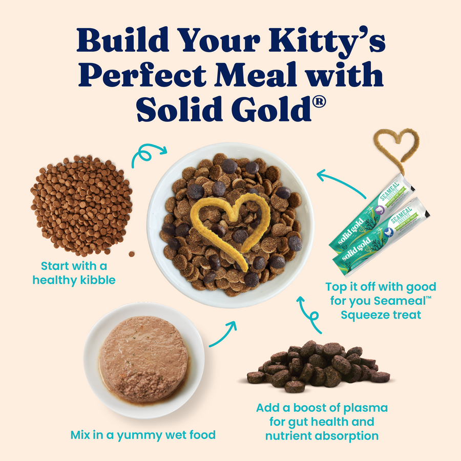 Bowl with dry cat kibble, wet food paté, and squeeze treat, arranged with heart shapes and labeled meal preparation steps.