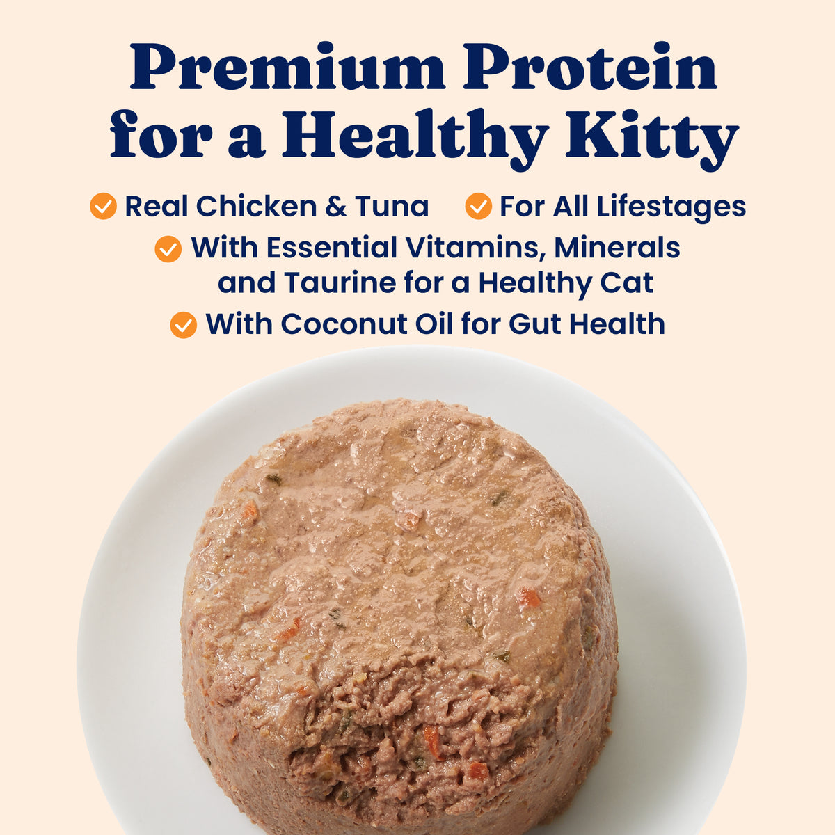 Wet cat food paté with chicken and coconut, served in a round shape on a white plate.