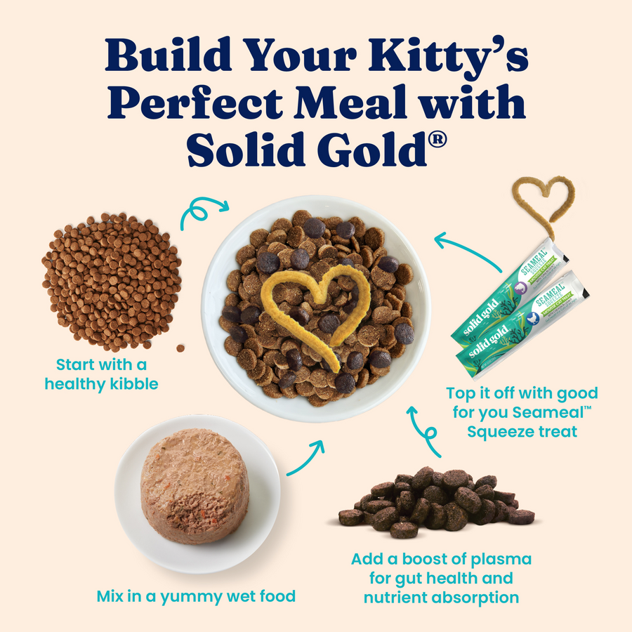 Bowl with dry cat kibble, wet food, and squeeze treat, illustrating meal preparation for cats.
