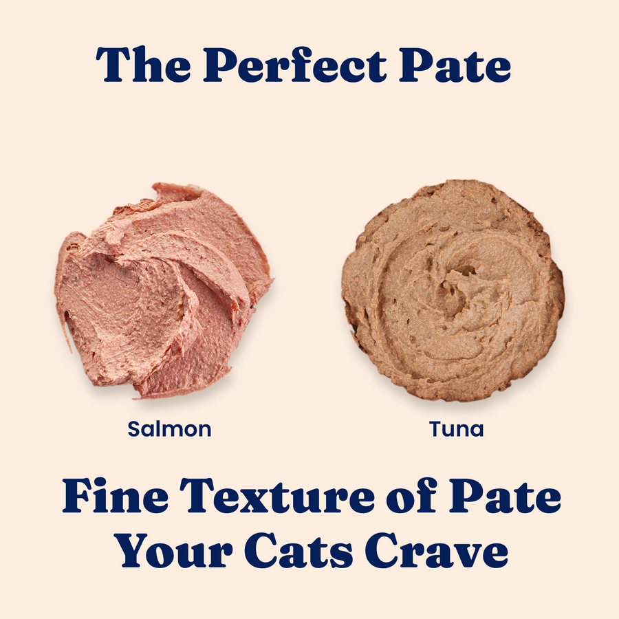 Two scoops of cat paté, one salmon-colored and one brown tuna, displayed side by side on a light background.