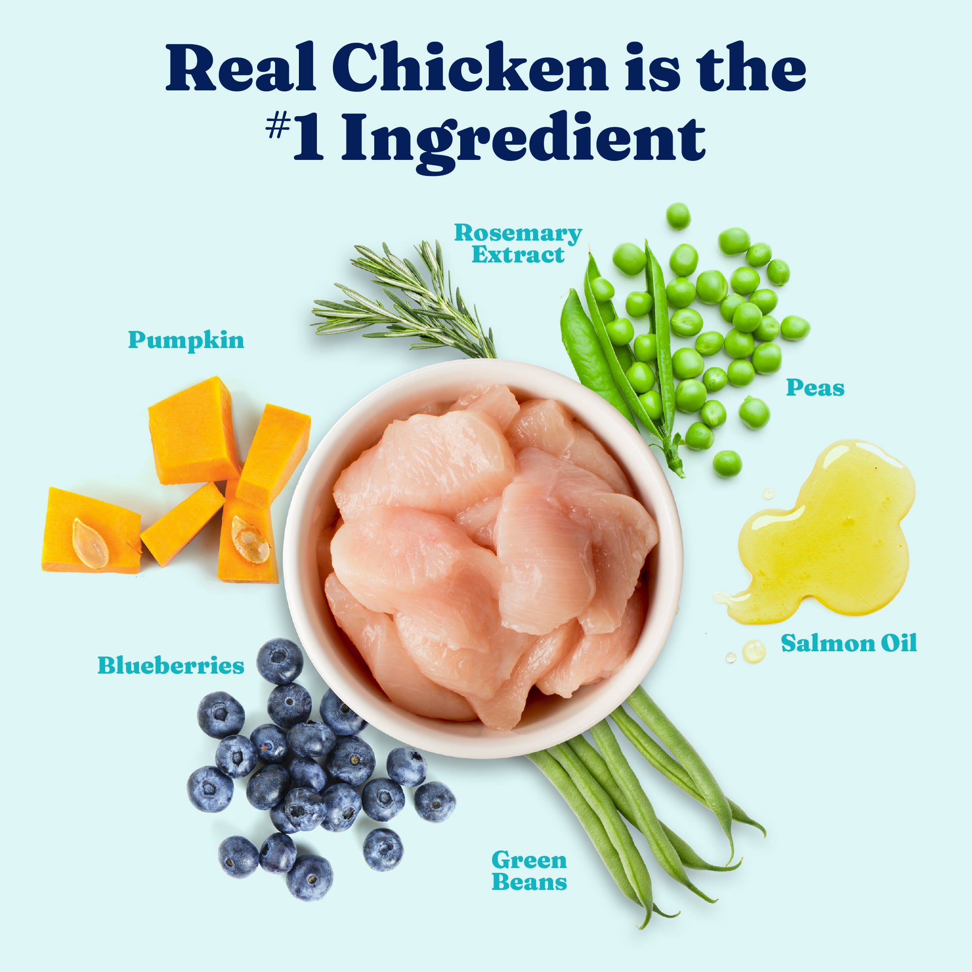 Bowl of raw chicken surrounded by pumpkin, peas, blueberries, green beans, rosemary extract, and salmon oil.