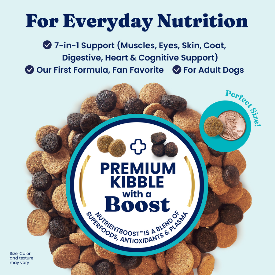 Dry dog food kibble in various shapes and colors, with a coin for size reference and nutritional information displayed.
