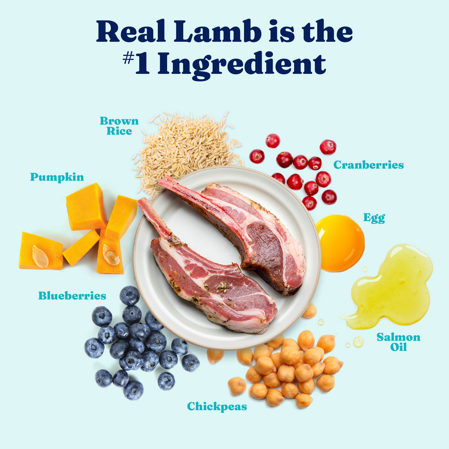 Lamb chops, brown rice, pumpkin, blueberries, cranberries, egg, chickpeas, and salmon oil arranged on a light background.
