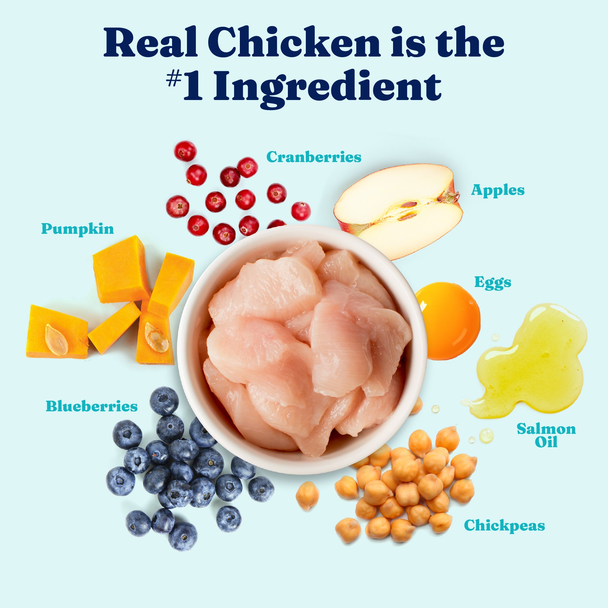 Bowl of raw chicken surrounded by pumpkin, cranberries, apples, eggs, salmon oil, blueberries, and chickpeas.