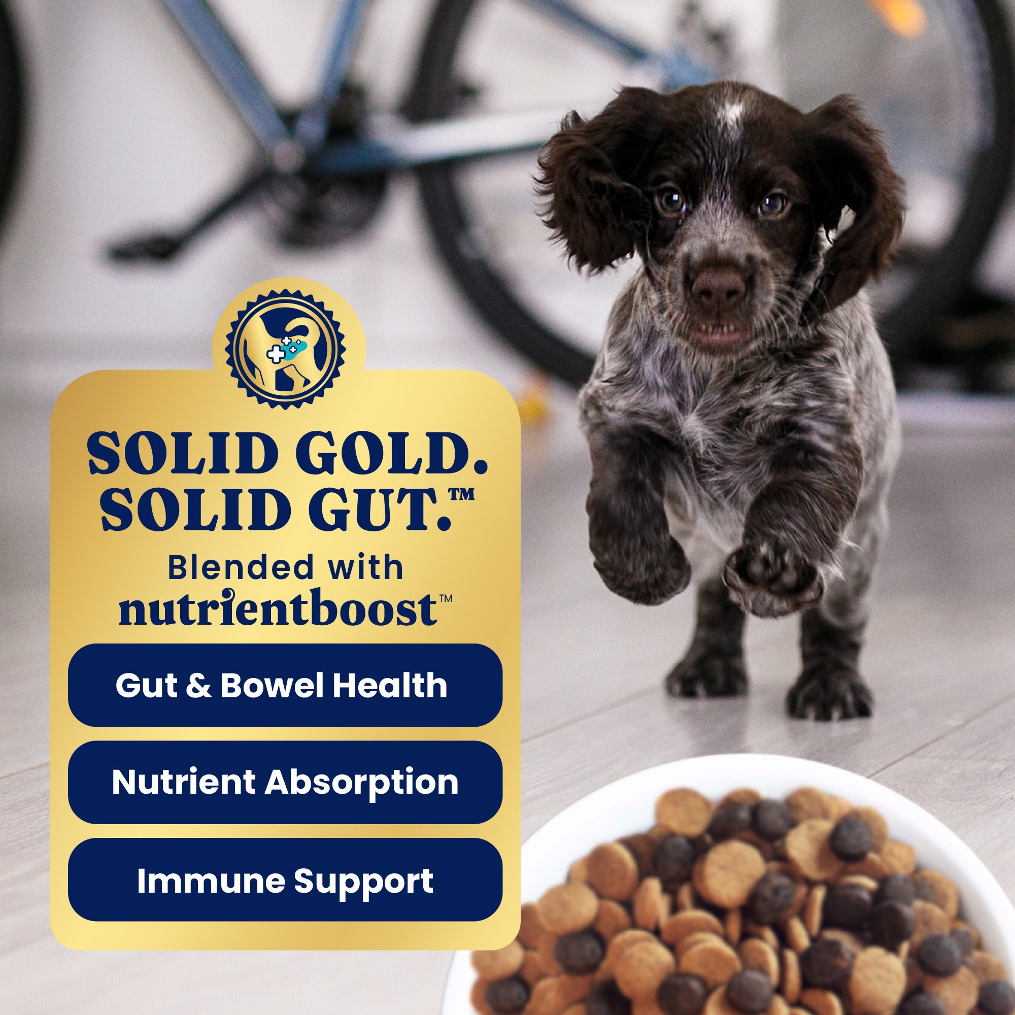Puppy running on a floor with a bowl of dry dog food in the foreground and a bicycle in the background.