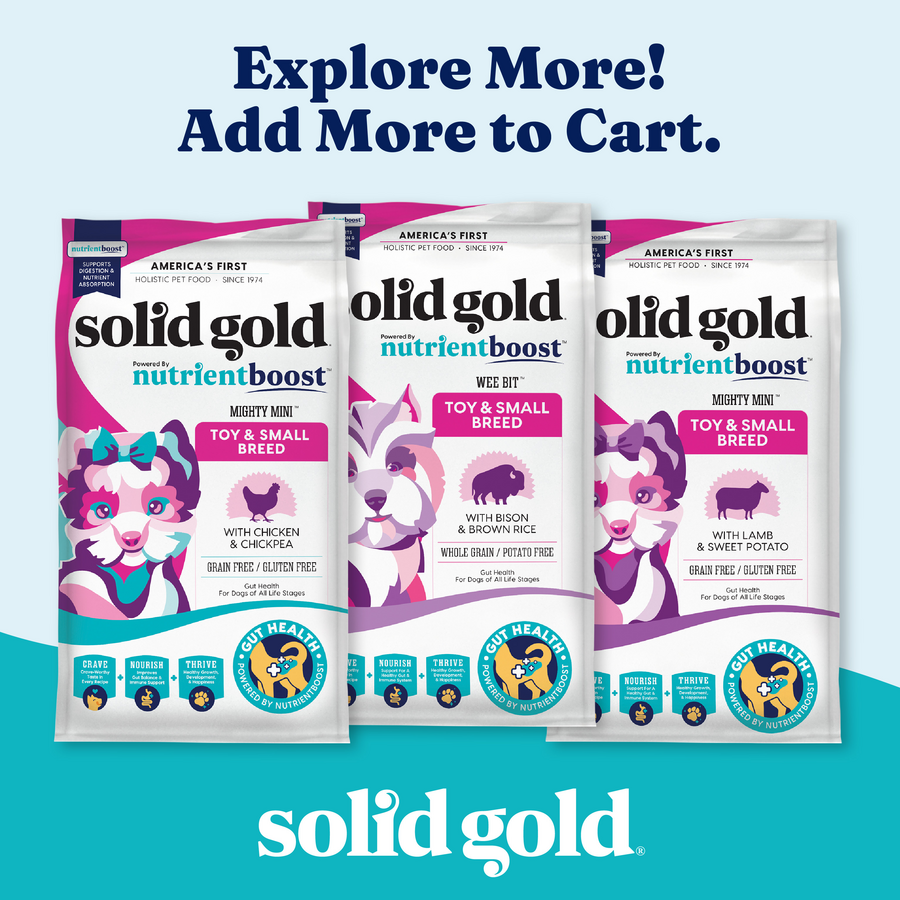 Three pouches of wet dog food for toy and small breeds, featuring different protein sources and ingredients.