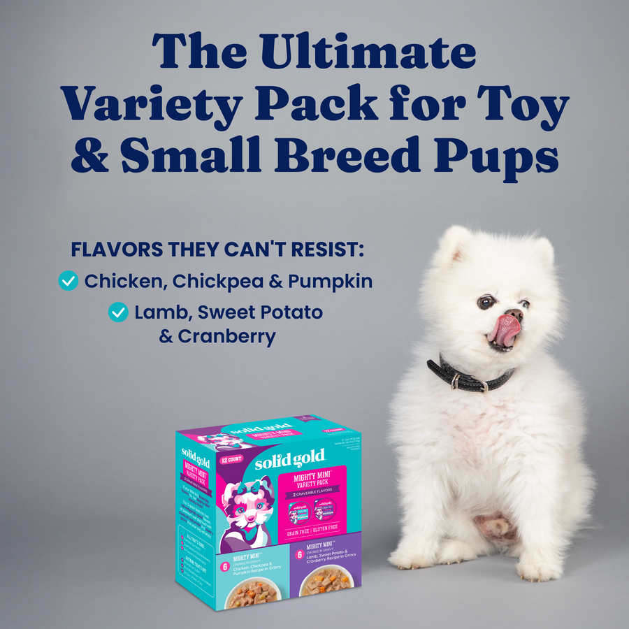 White fluffy dog sitting next to a colorful box of wet dog food featuring various flavors for small breeds.