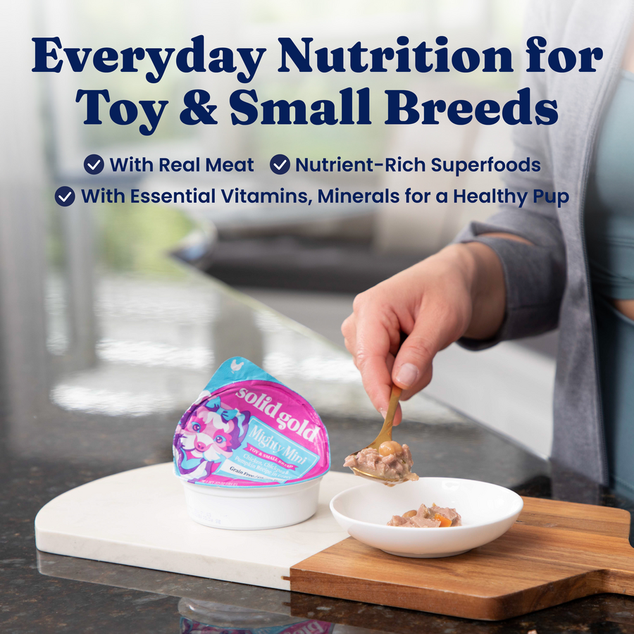 A hand holds a spoonful of wet dog food above a bowl, with a package of Mighty Mini wet food on a countertop.