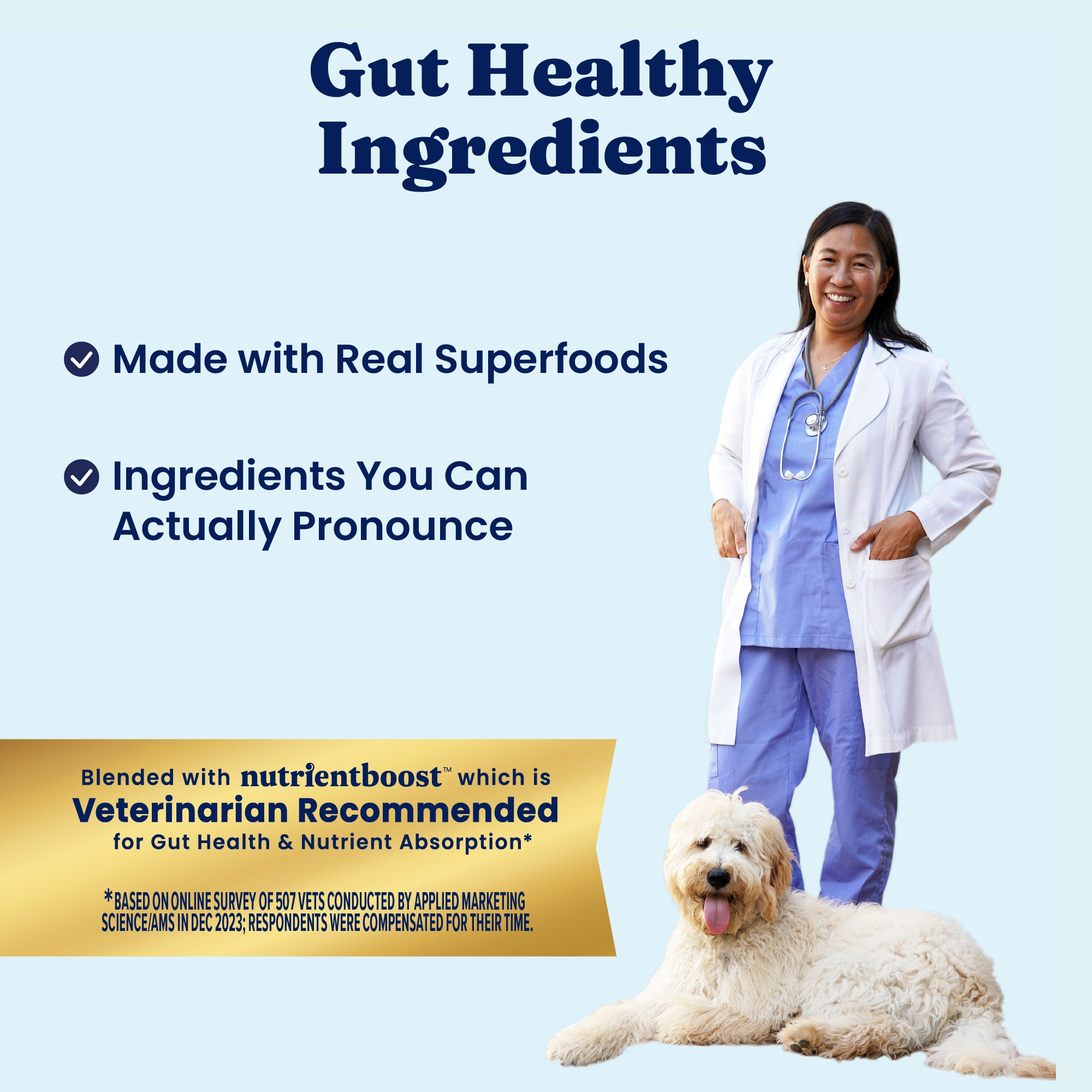 Nutrientboost™ Meal or Topper Digestive Wet Food for Adult Dogs