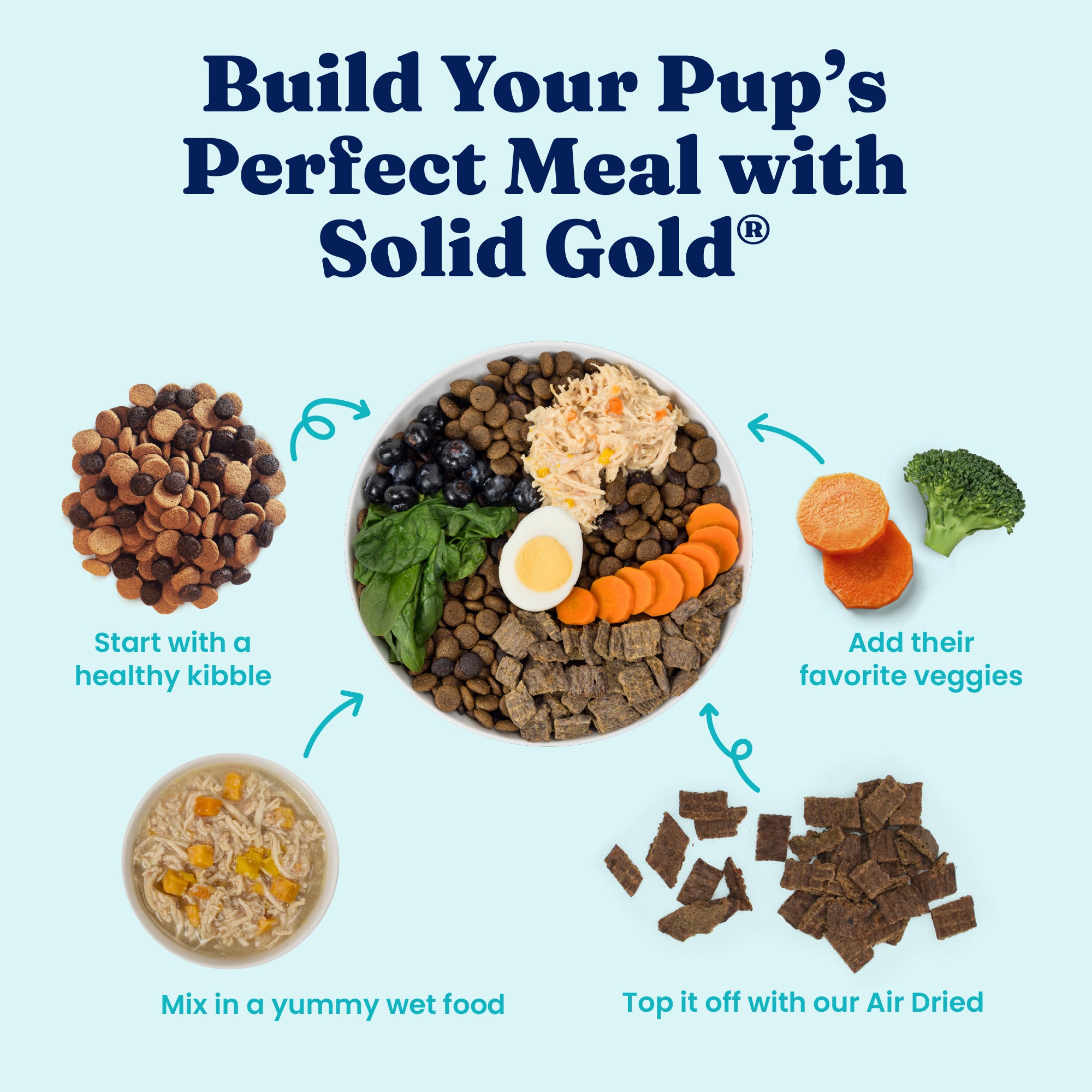 Skin and Coat Meal or Topper Wet Food for Adult Dogs