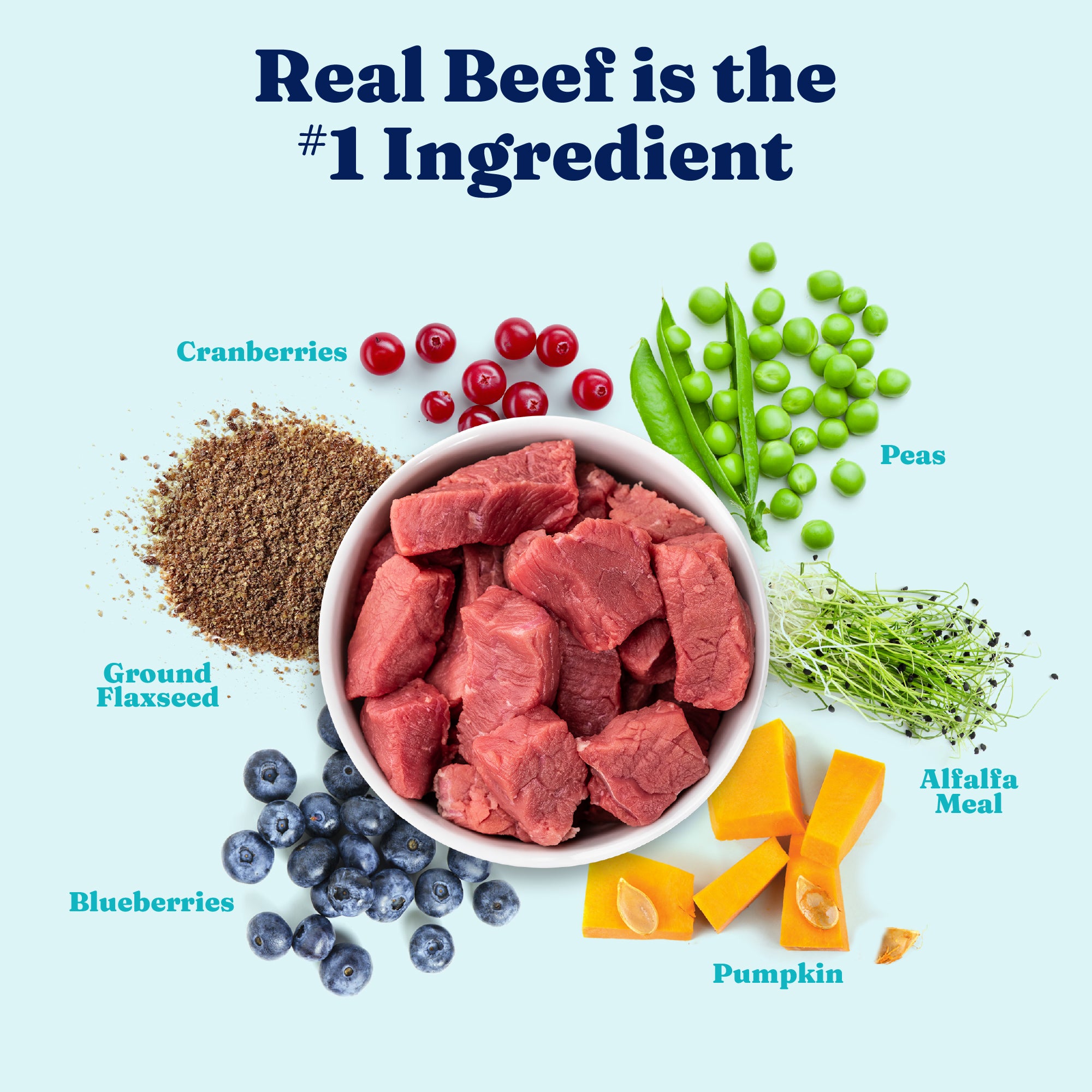 Barking at the Moon™ Beef Wet Food for Dogs