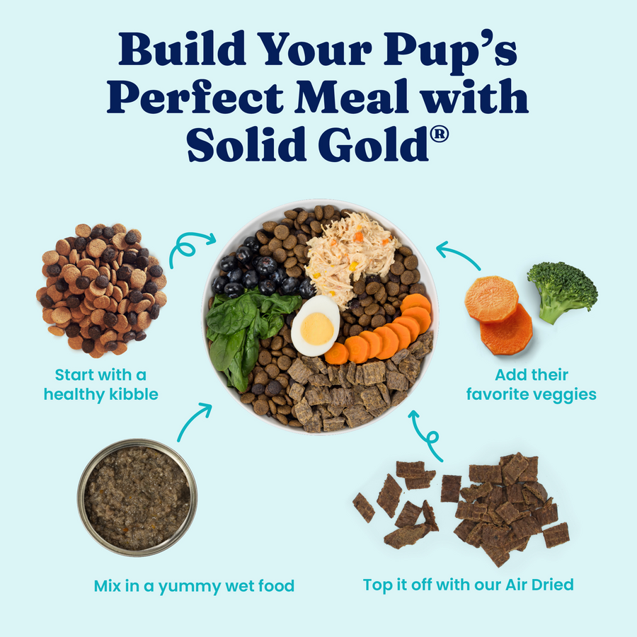 Bowl filled with kibble, wet food, vegetables, and air-dried treats, illustrating meal preparation for dogs.