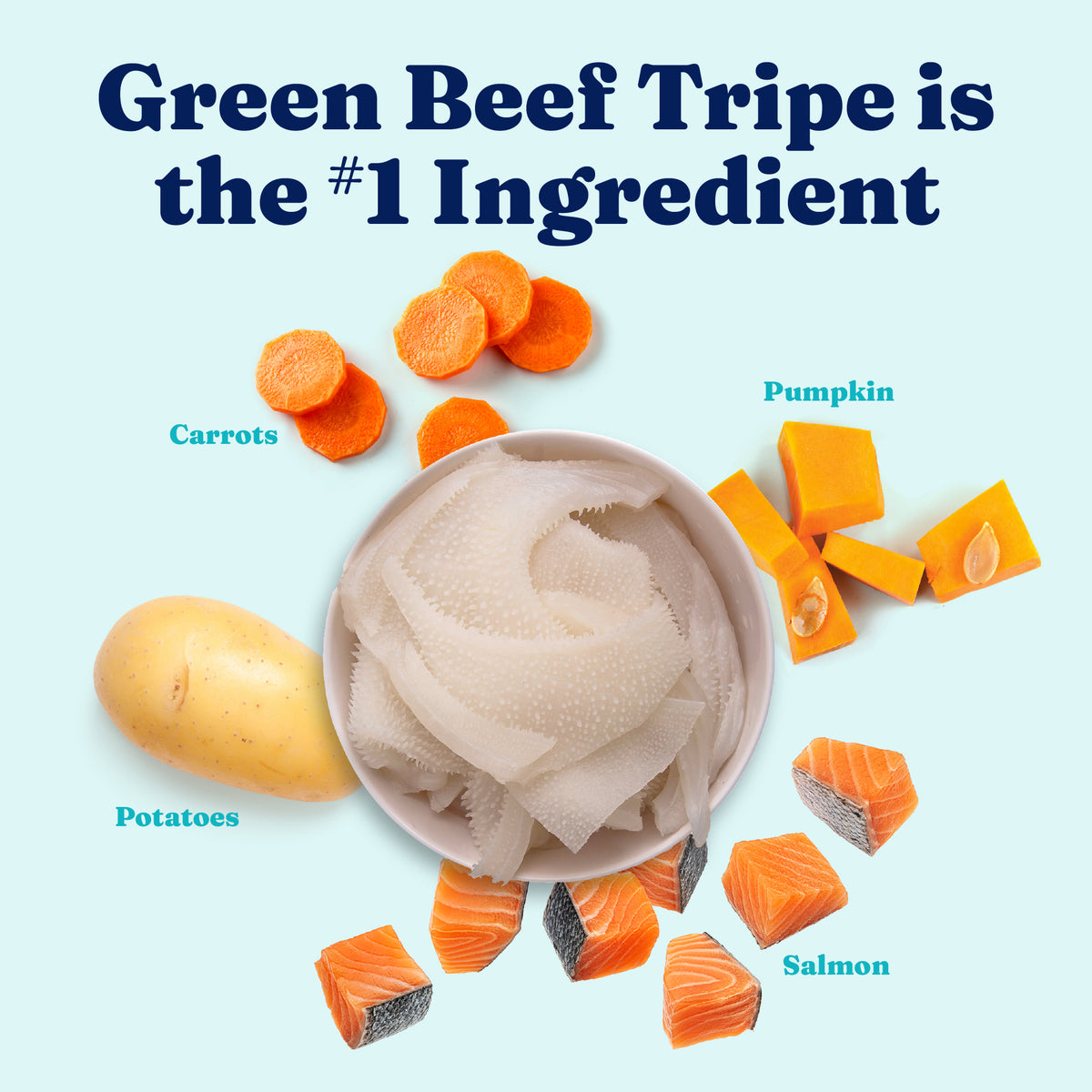 Green beef tripe, carrots, potatoes, pumpkin, and salmon are displayed as ingredients for dog food.