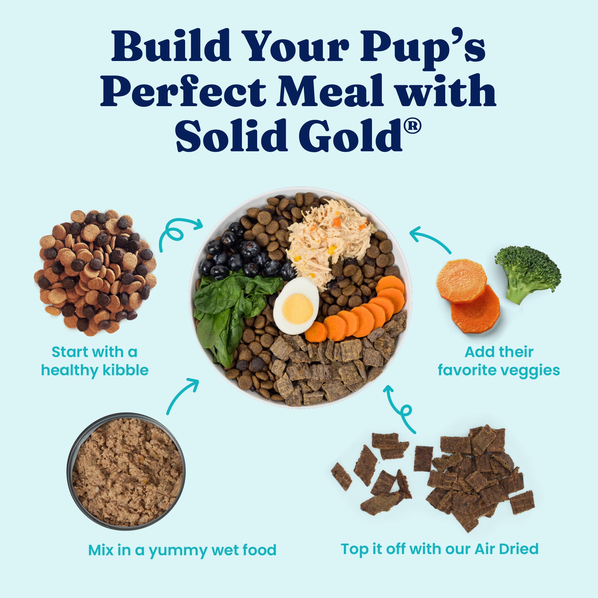 Bowl filled with kibble, wet food, vegetables, and an egg, illustrating meal preparation for dogs.