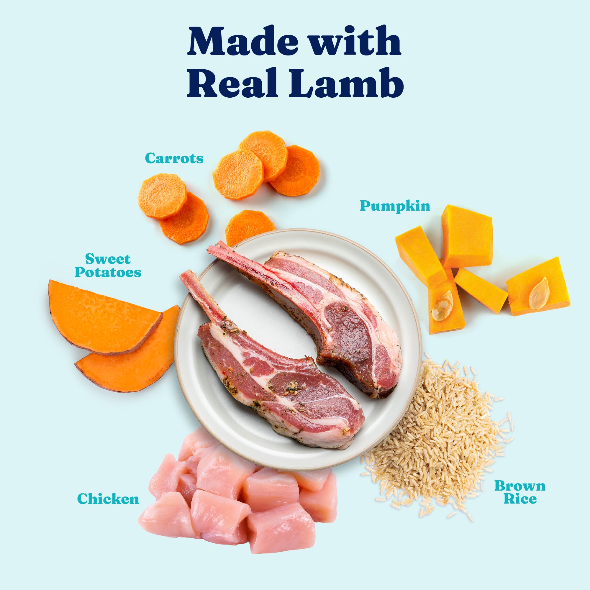 Plate with lamb chops, diced chicken, brown rice, sweet potatoes, carrots, and pumpkin arranged around it.
