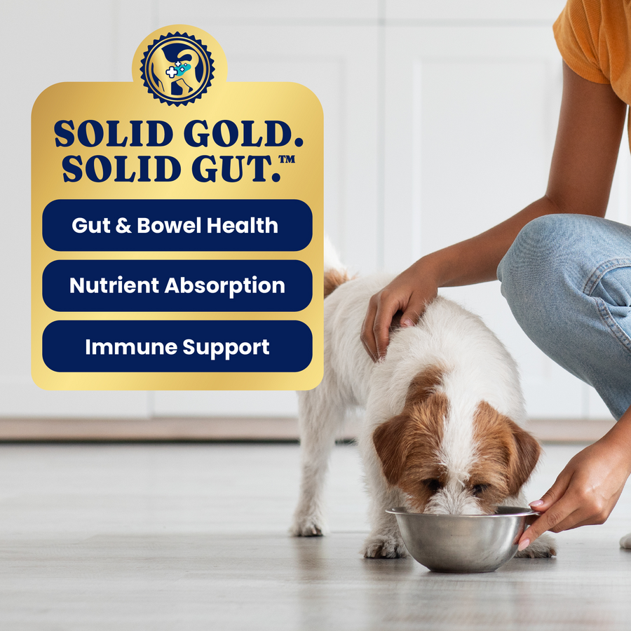 A person feeds a small dog from a metal bowl on a floor, with text highlighting health benefits.