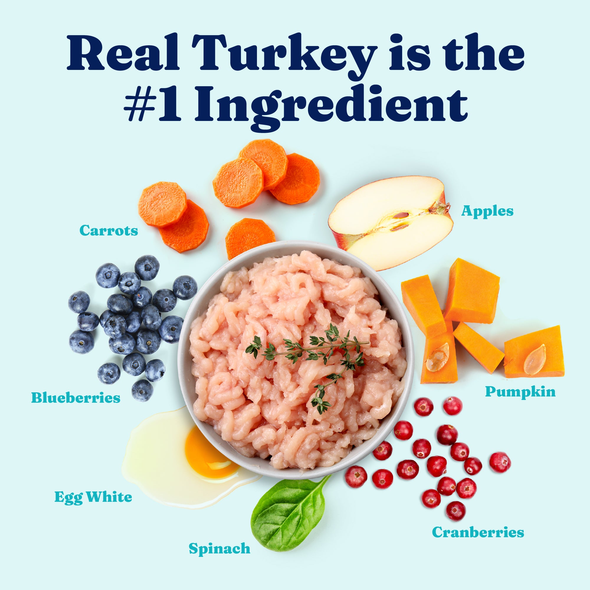 bowl of ground turkey with labeled ingredients on a white background