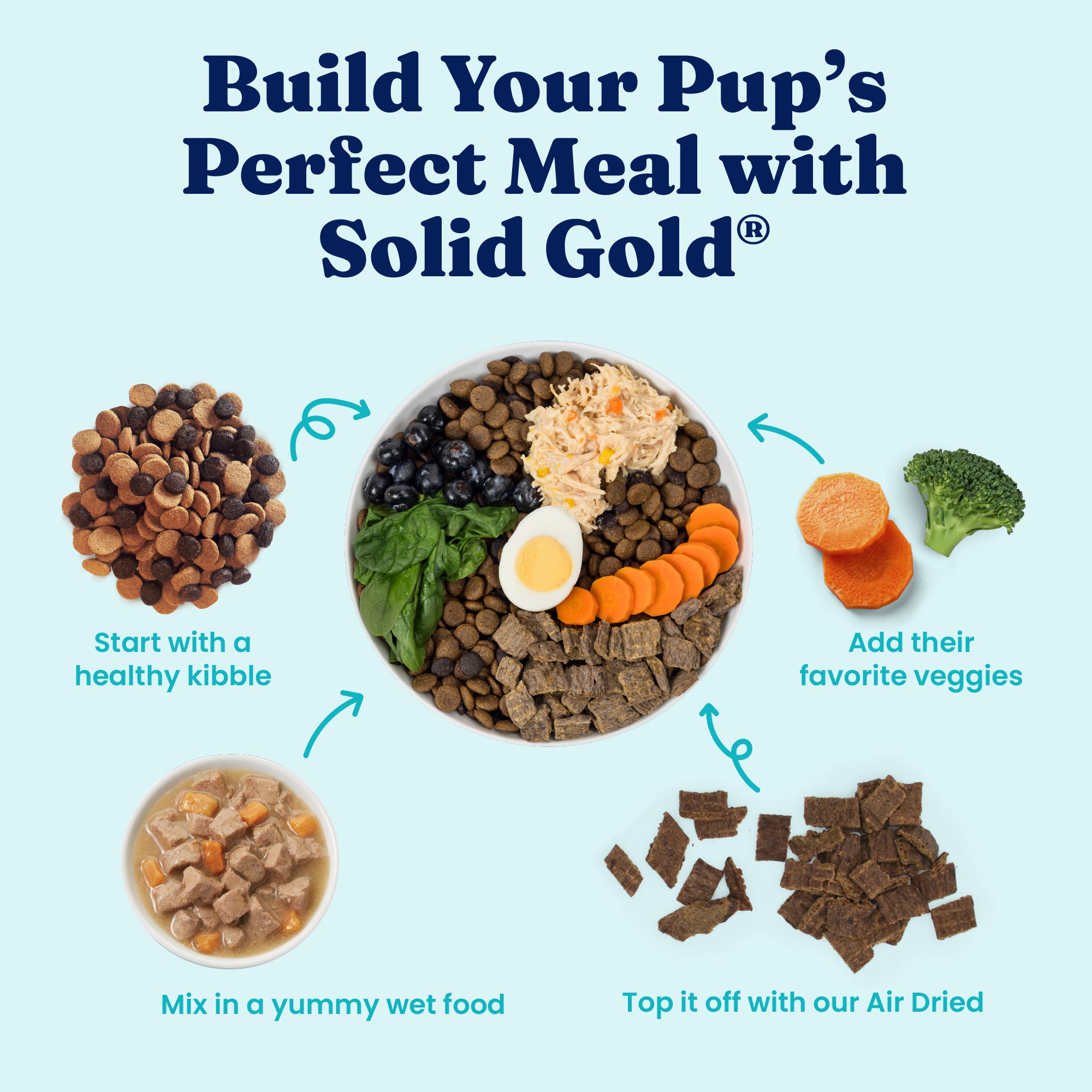 Diagram showing how to build a perfect meal for a dog using Solid Gold products.