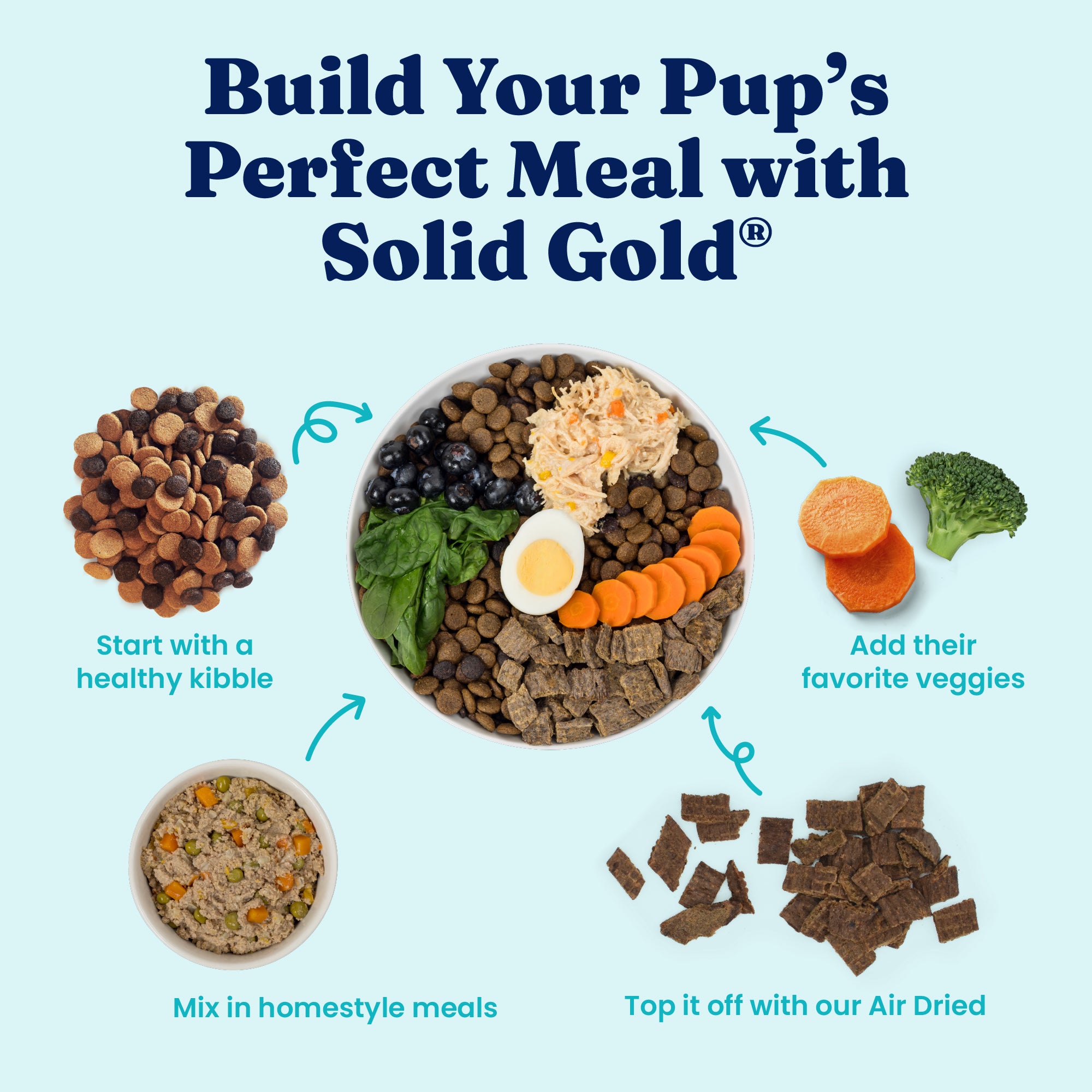 Bowl of dog food with kibble, veggies, and a homestyle meal, illustrating meal preparation steps for dogs.