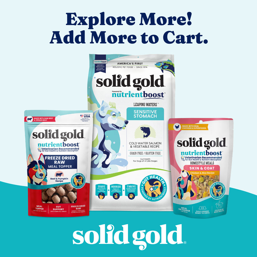 Bone Broth Beef Topper for Dogs