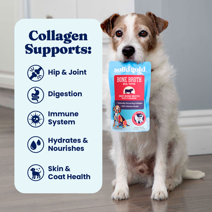 Dog holding a pouch of beef bone broth meal topper with text listing collagen support benefits.
