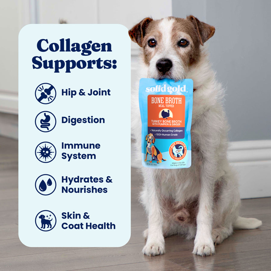 Bone Broth Turkey Topper for Dogs