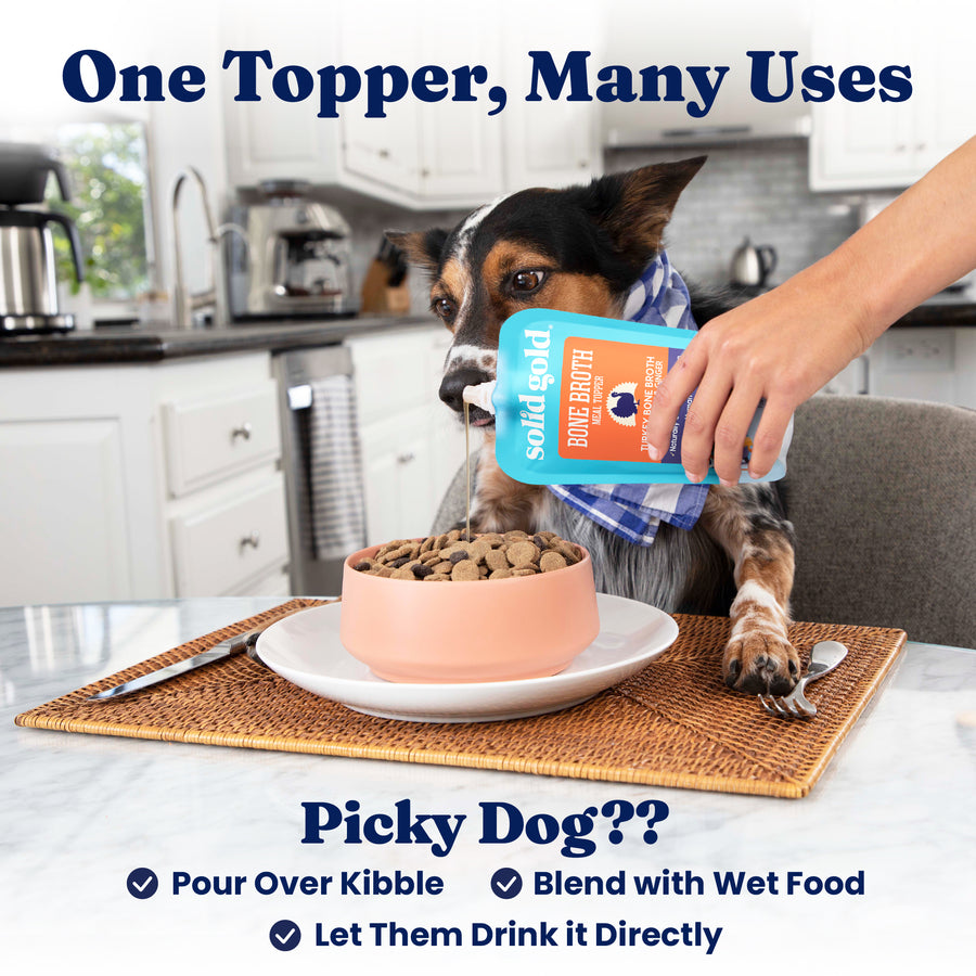 Dog with a blue bandana sits at a table while a person pours turkey bone broth over kibble in a bowl.