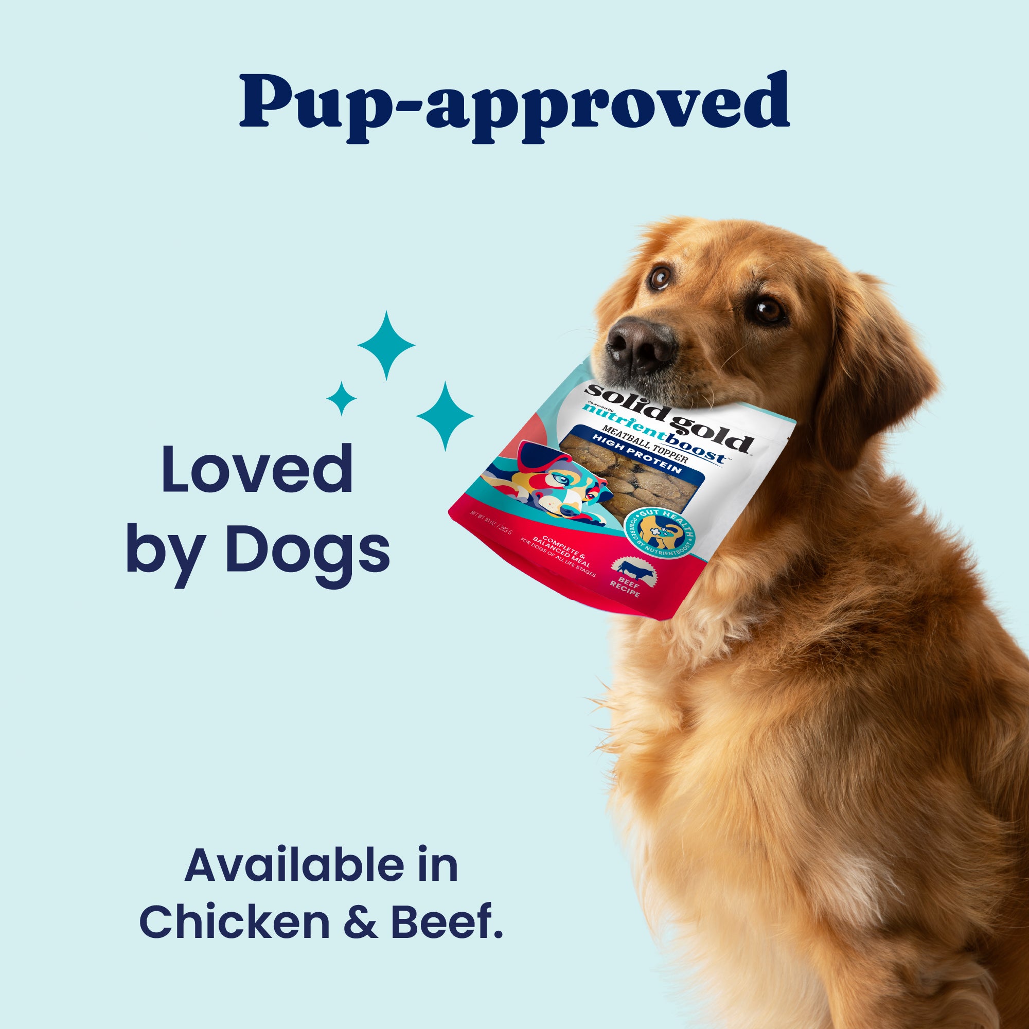Beef Meatball Topper for Picky Dogs