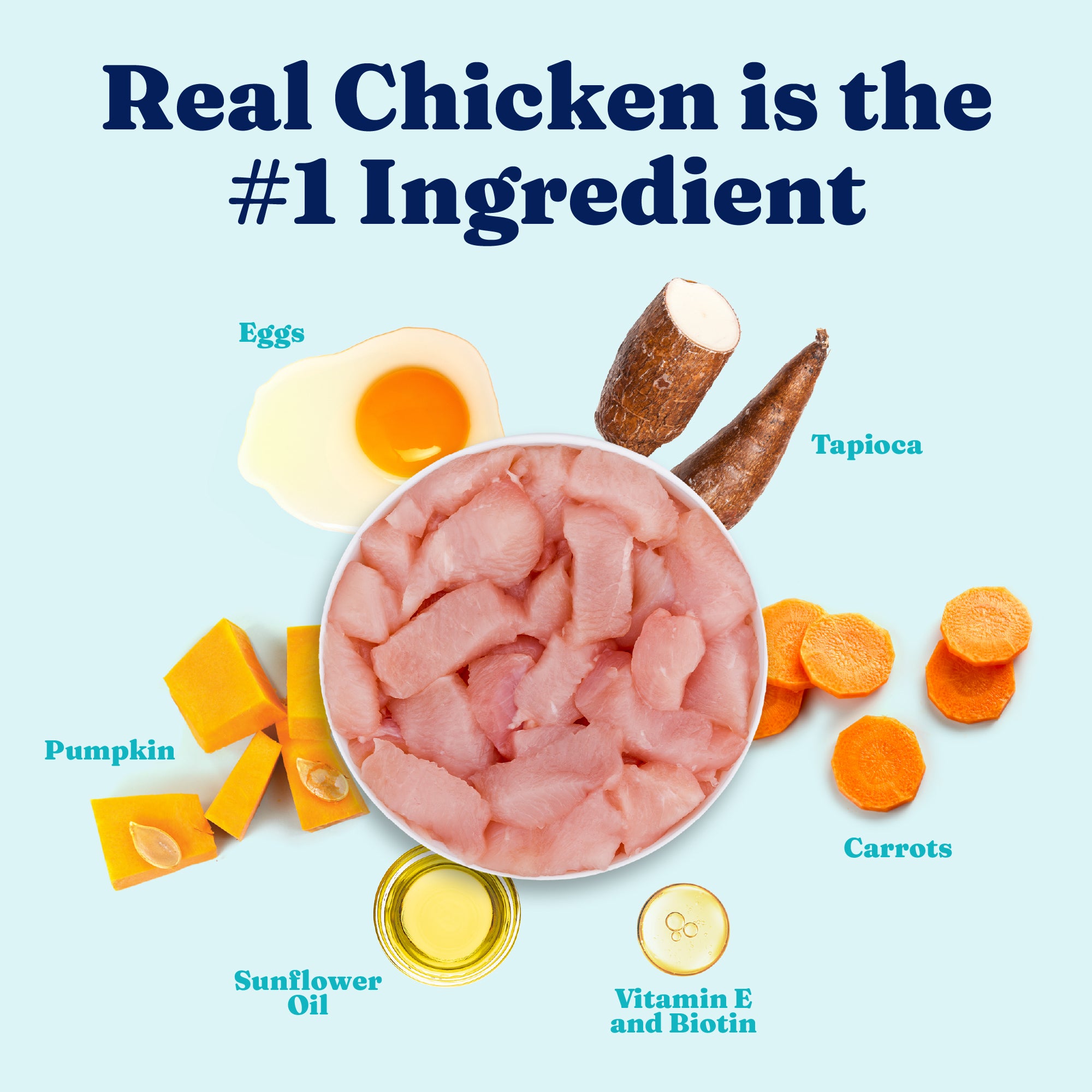 Bowl of raw chicken pieces surrounded by eggs, pumpkin, tapioca, carrots, sunflower oil, and vitamin supplements.