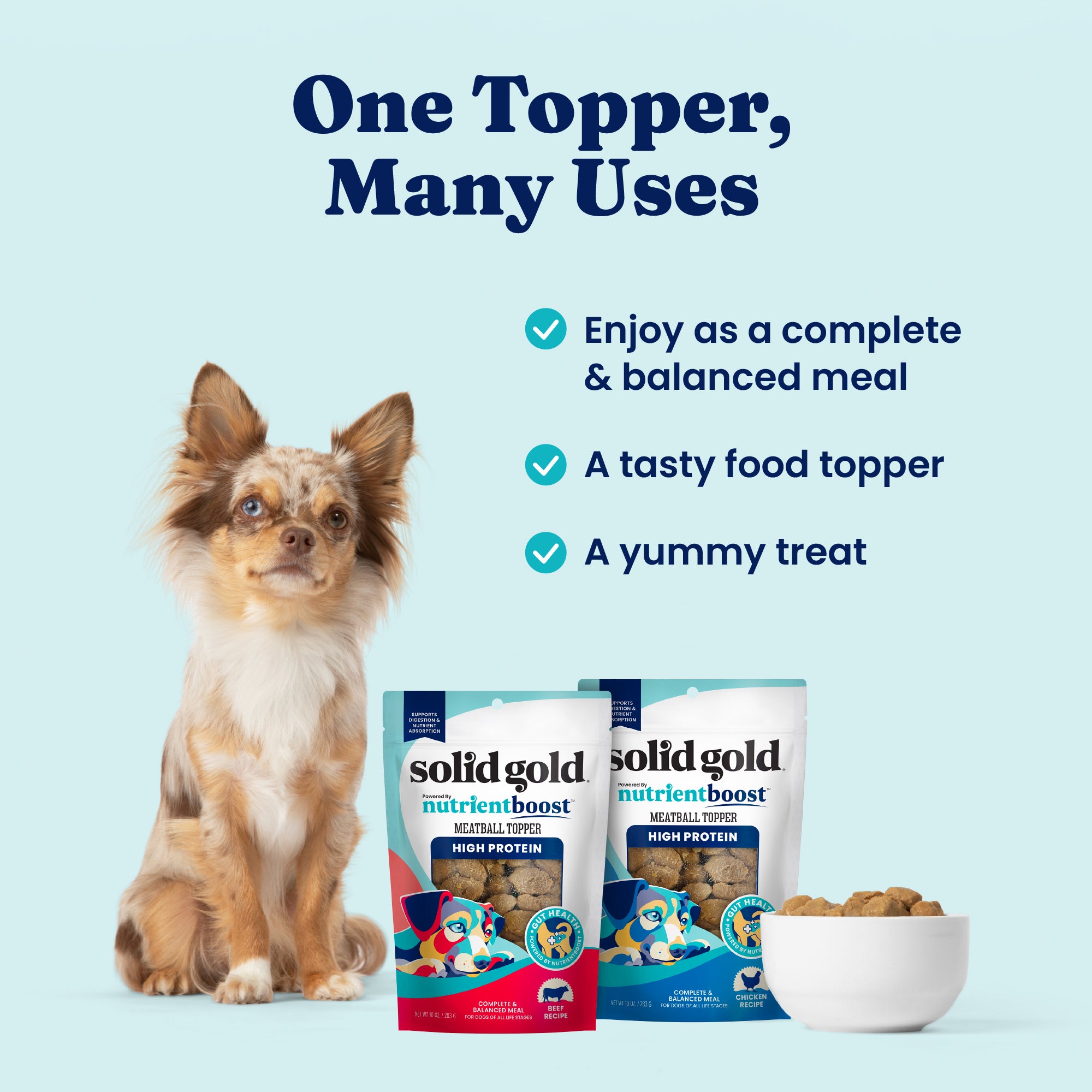 Small dog sitting next to two bags of chicken meatball dog food topper and a bowl of treats on a light blue background.