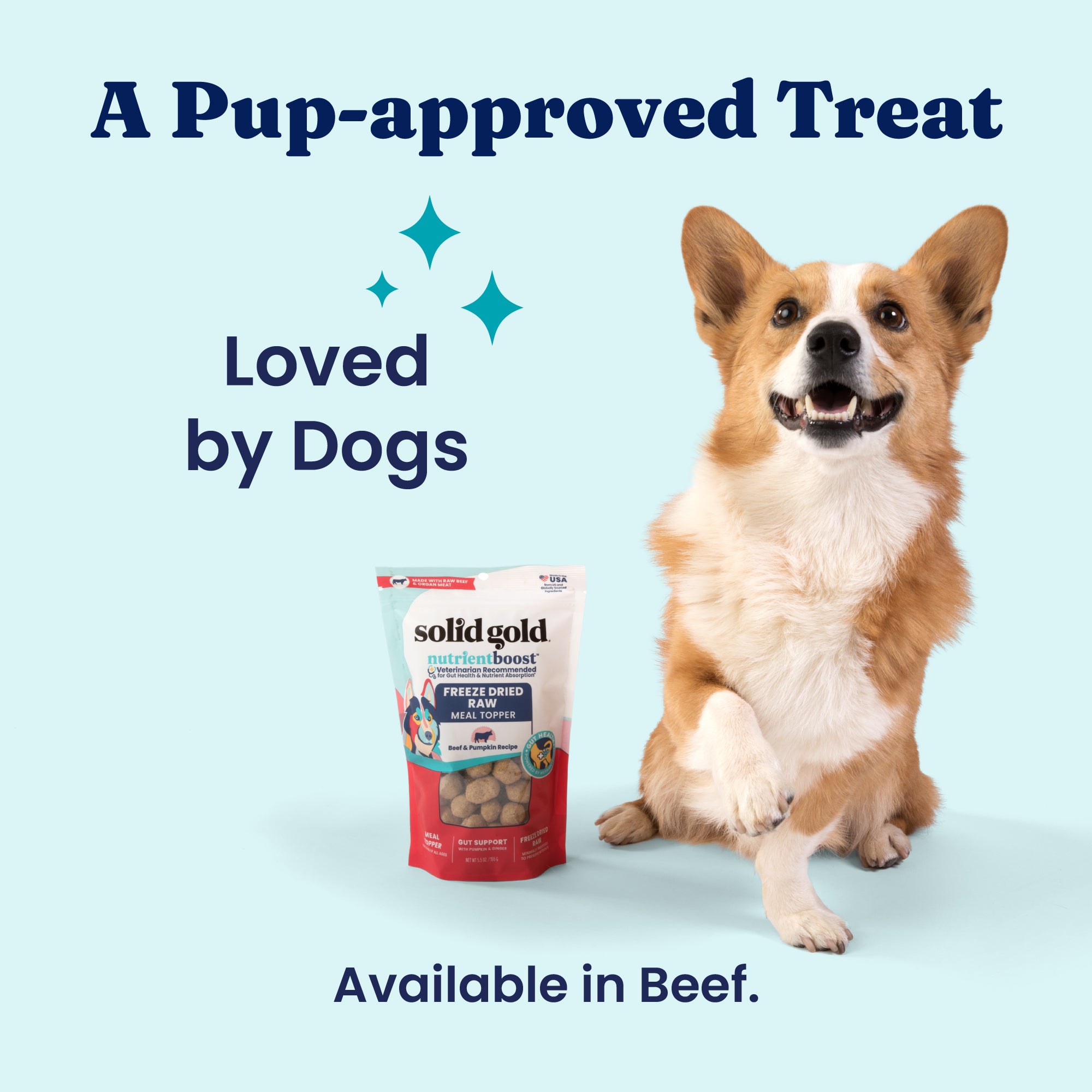 A dog sits beside a package of freeze-dried raw bacon meal topper for dogs on a light blue background.