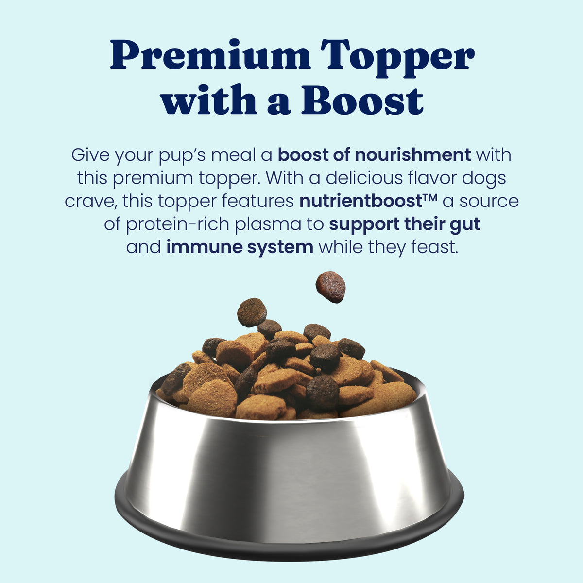 Bowl filled with various dry dog food kibbles, some spilling over the edge.