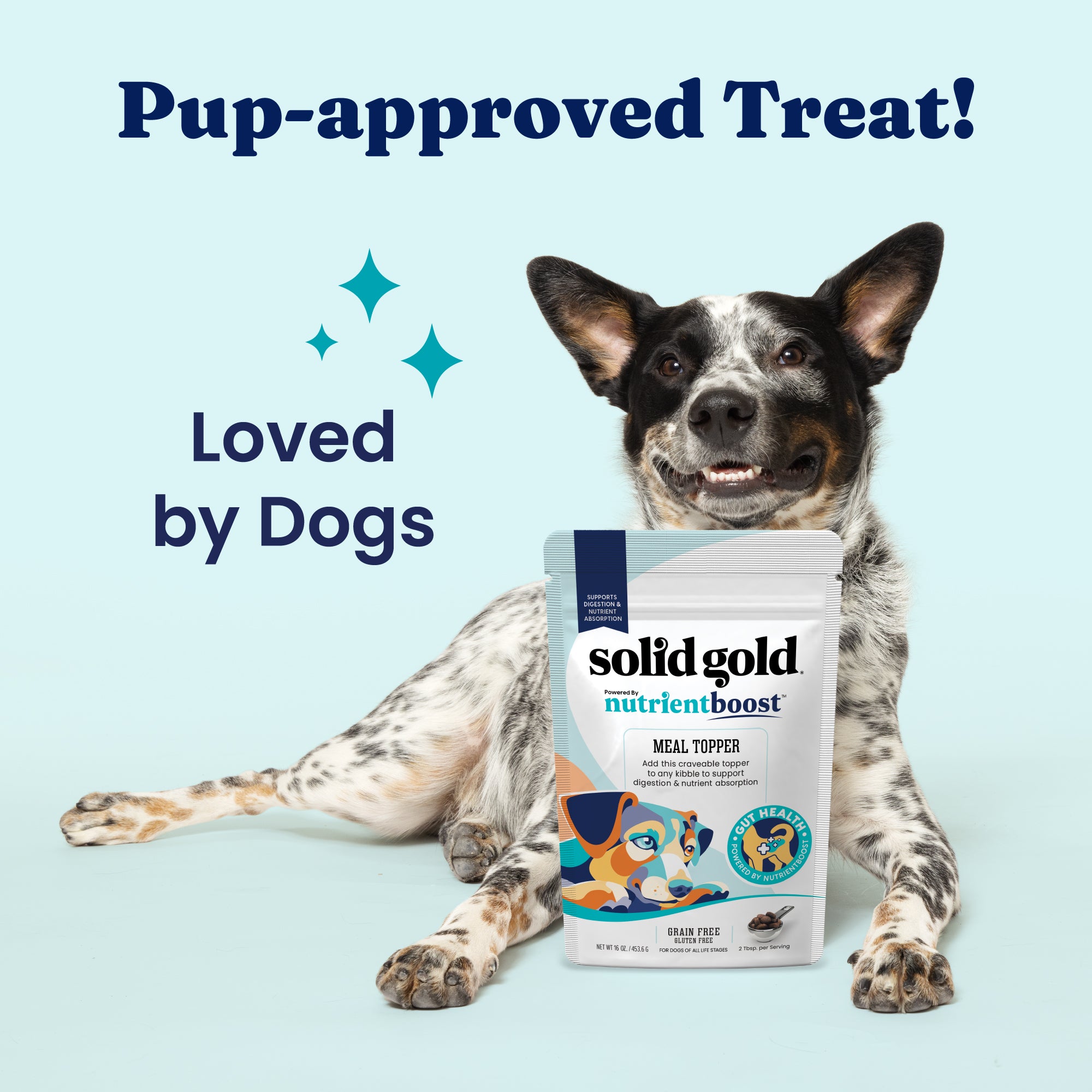A dog sits beside a package of Solid Gold Nutrientboost Meal Topper, featuring colorful graphics and text.