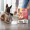 Dog sitting next to a person pouring Solid Gold dog food into a bowl, with the packaging visible.