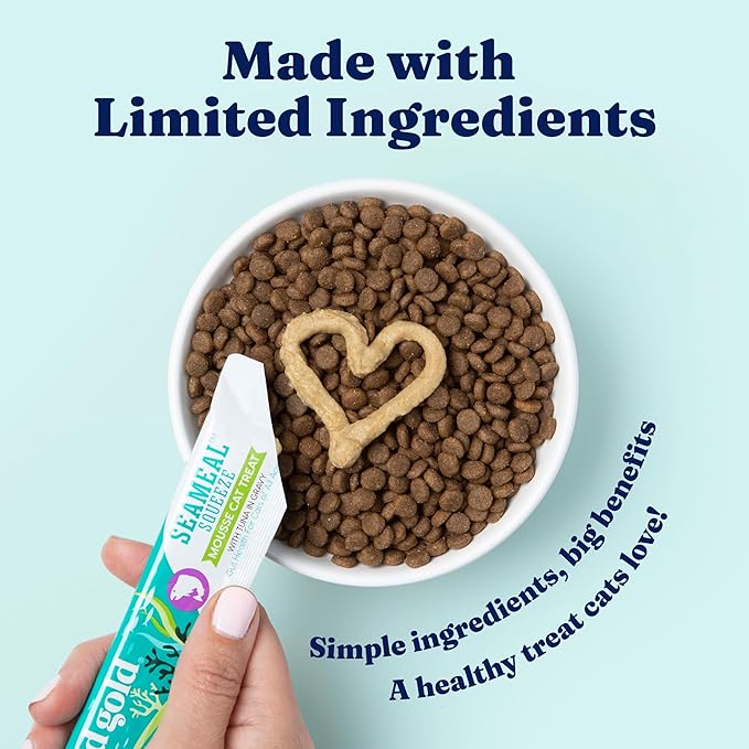 Cat food with a heart shape and a tube of treat on a light blue background