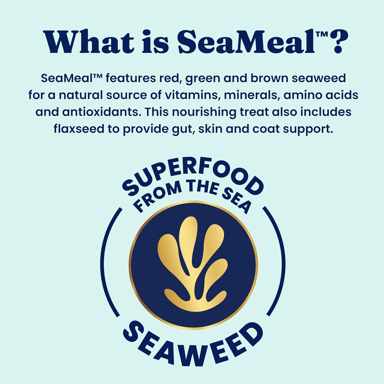 Promotional graphic about SeaMeal, featuring seaweed and text on a light blue background.