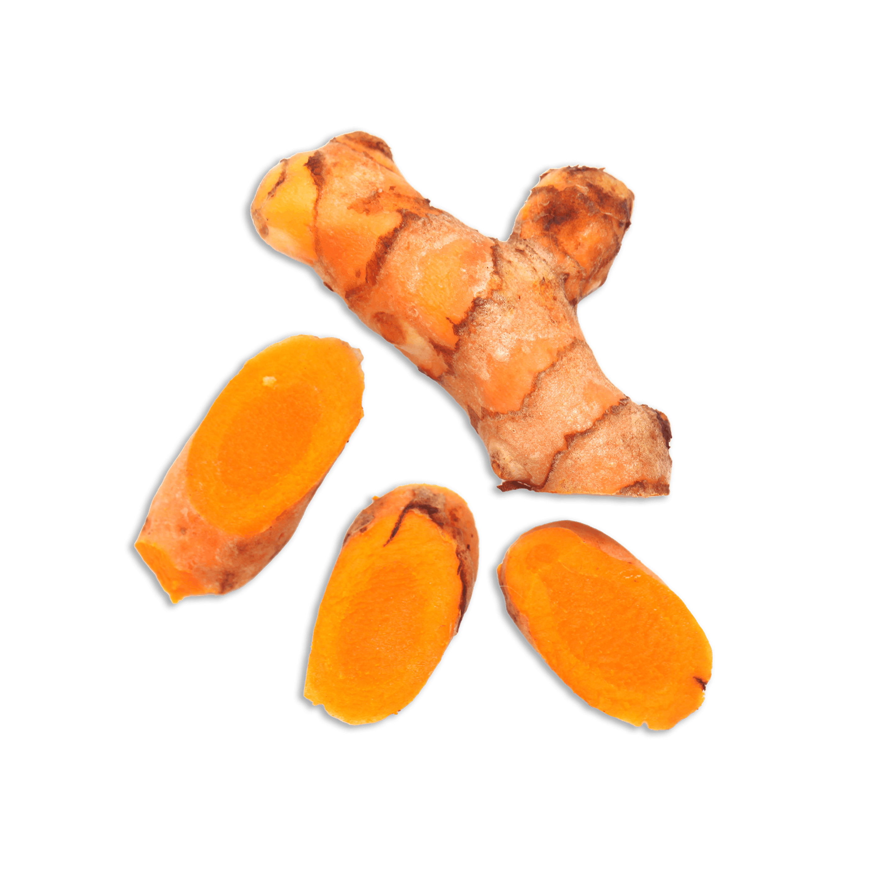 Bone Broth Beef Topper for Dogs