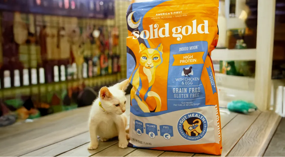 White kitten with Solid Gold chicken and egg cat food.

