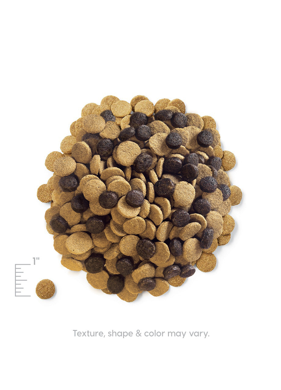 Solid Gold Hund-n-Flocken with Lamb Dry Dog Food – Petsense